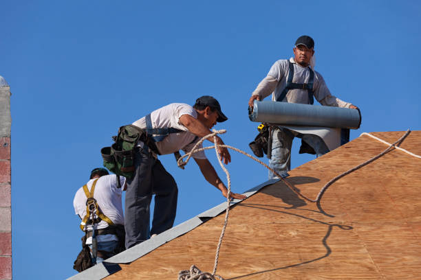 Best Roof Waterproofing Services  in Parowan, UT