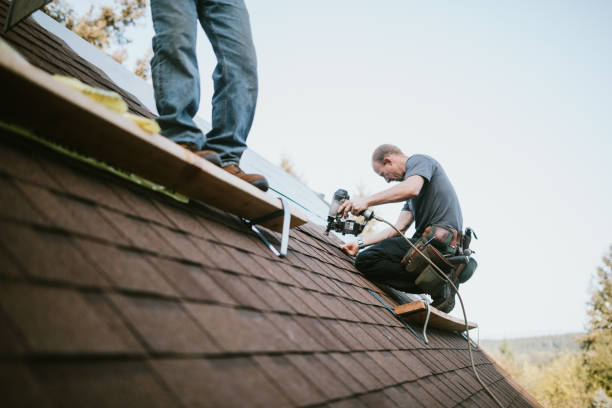 Best Roof Gutter Cleaning  in Parowan, UT